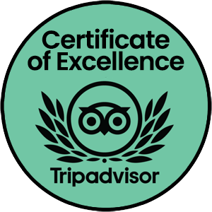 qvs-trip-advisor-certificate-of-excellence
